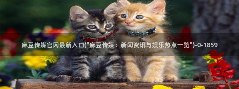 麻豆系列观看顺序