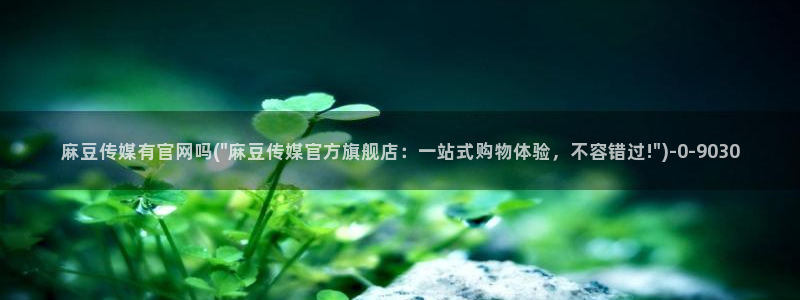 麻豆演员