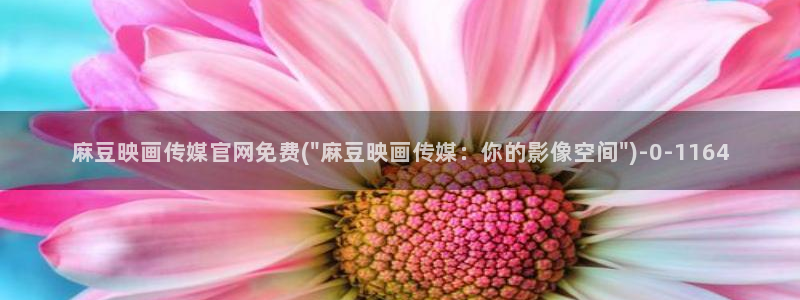 麻豆专题标题
