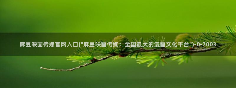 麻豆关键词库