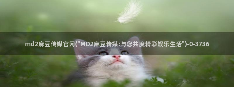 麻豆拍摄花絮