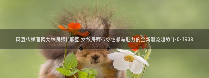 麻豆视频在线看