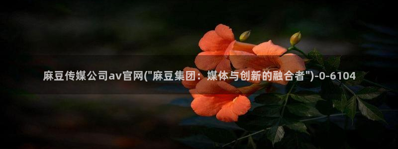 麻豆视频分类目录