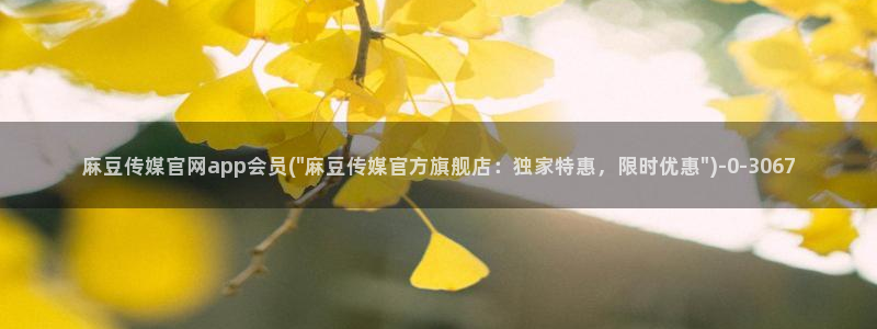麻豆精选描述