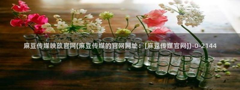 麻豆视频自然描述