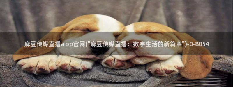 麻豆视频合作联系