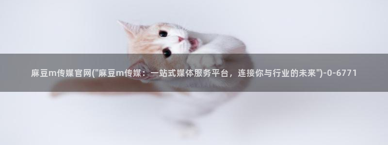 麻豆传媒新片
