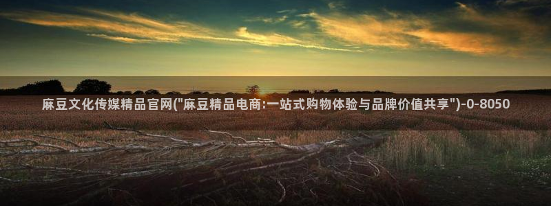麻豆视频网站