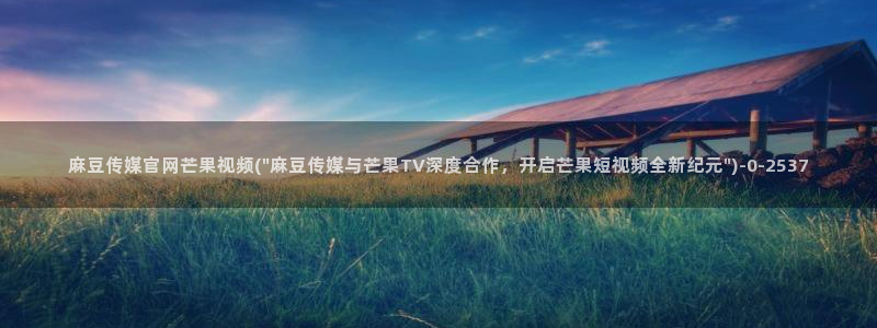 麻豆视频图片规则