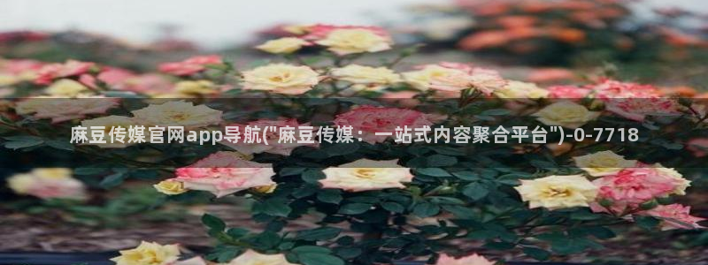 麻豆视频SEO词库