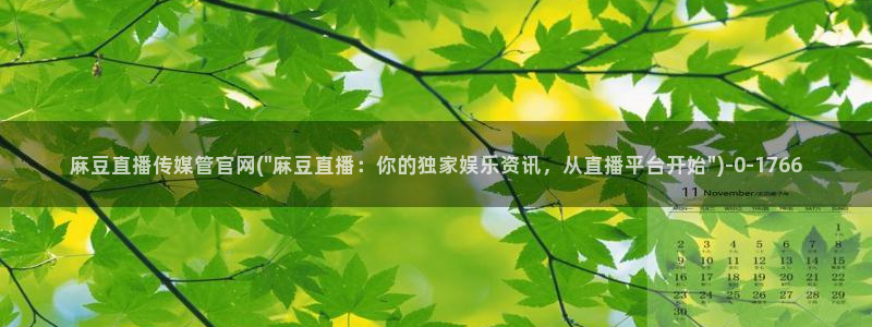 麻豆视频分类名称