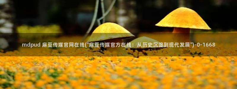 麻豆视频关于我们