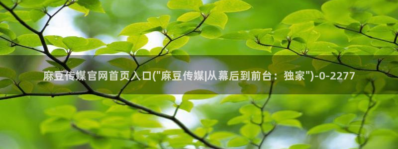 麻豆视频清晰导航：麻豆传媒官网首页入口(\