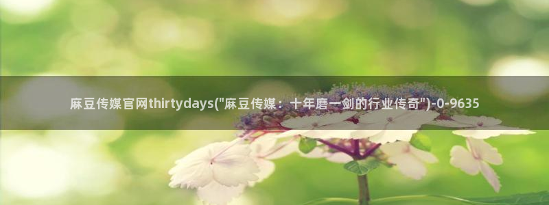 麻豆剧情视频