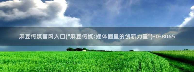 麻豆视频标签规划