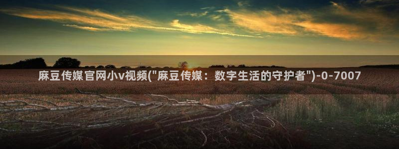 麻豆描述优化