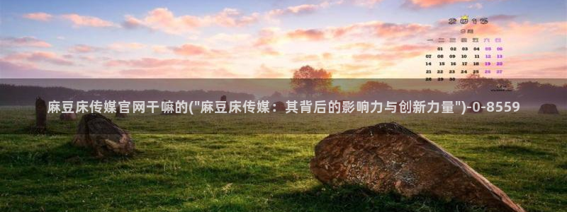麻豆视频站