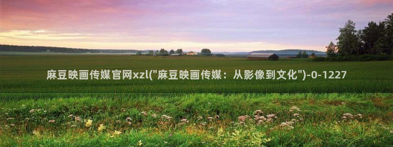 麻豆视频点评