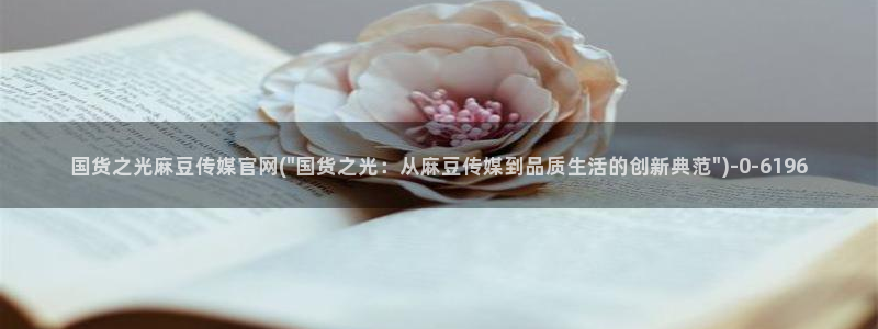 麻豆视频分类名称