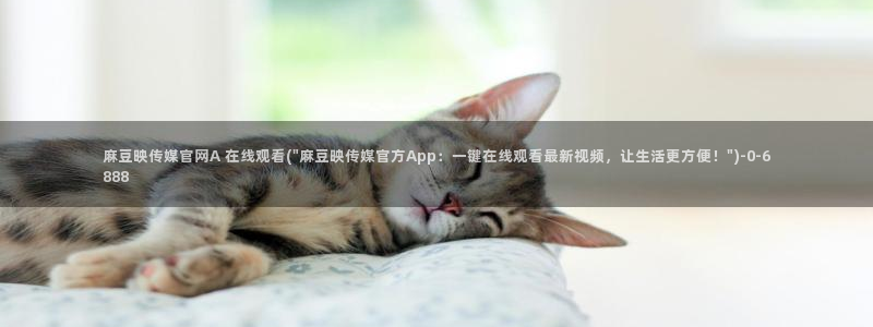 麻豆SEO模板