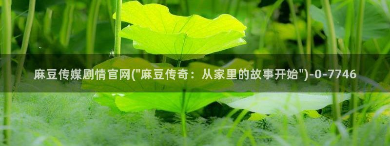 麻豆视频页面标题