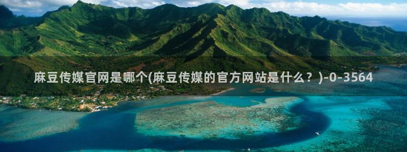 麻豆视频评分