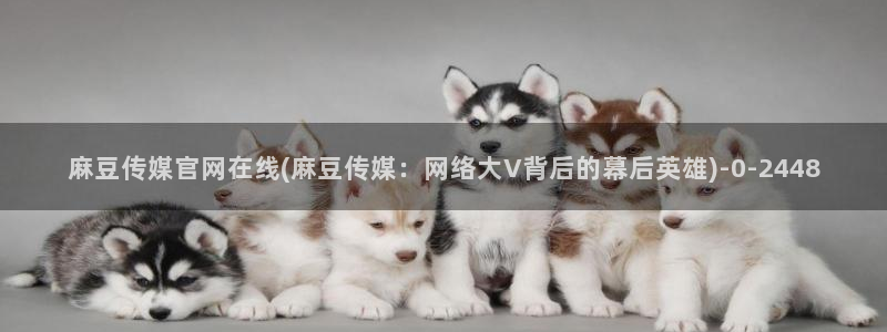 麻豆专题标题