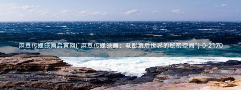 麻豆视频在线观看