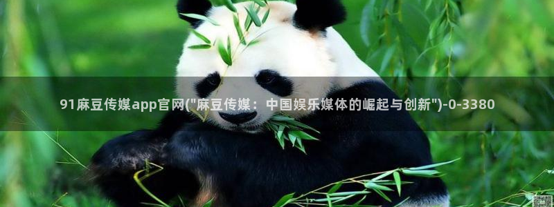 麻豆影视合集